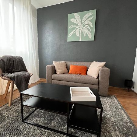 Mon Palmier Grand Appartement Parking Un-Sejour-A-Part Metz Ngoại thất bức ảnh