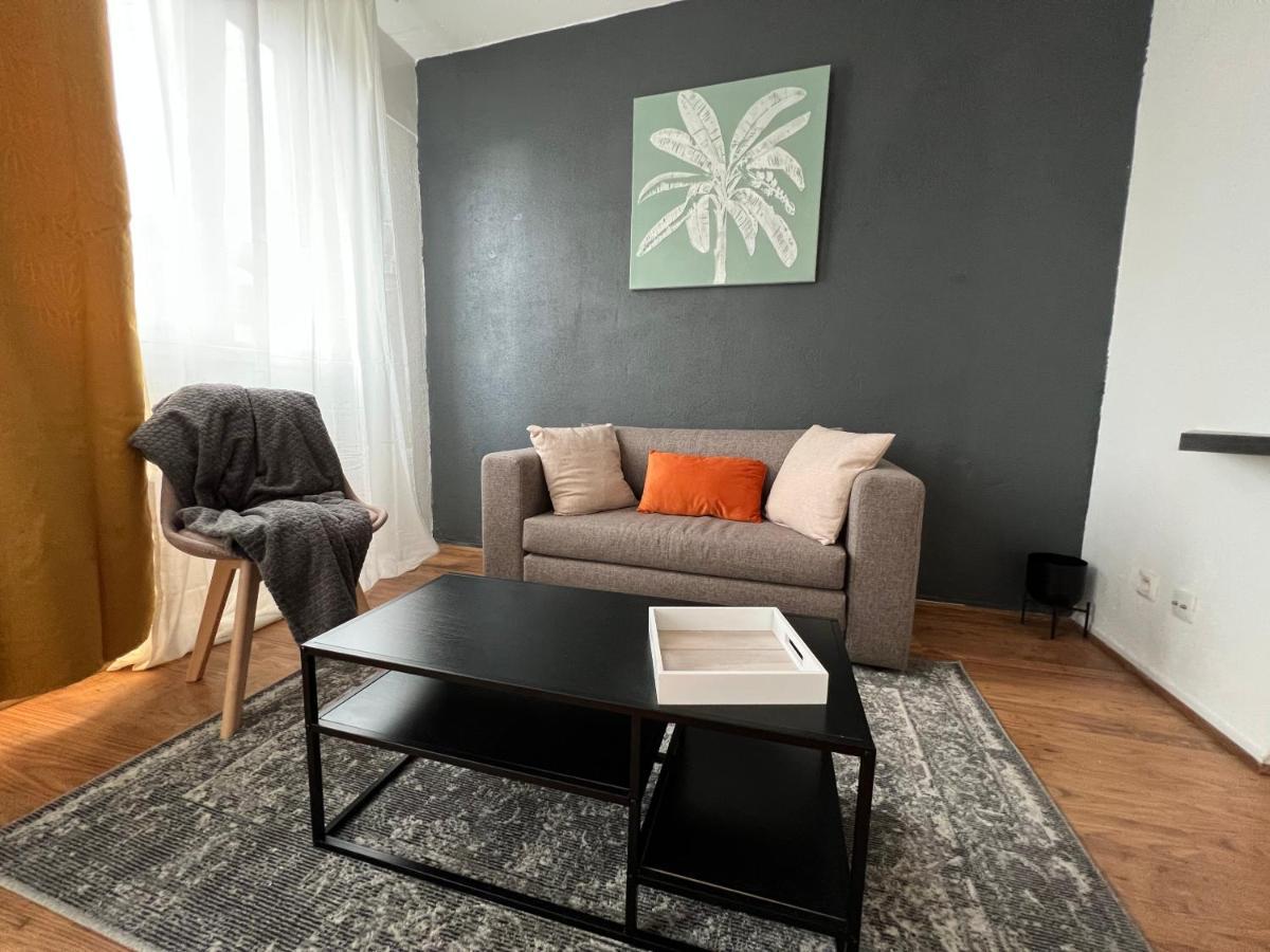 Mon Palmier Grand Appartement Parking Un-Sejour-A-Part Metz Ngoại thất bức ảnh