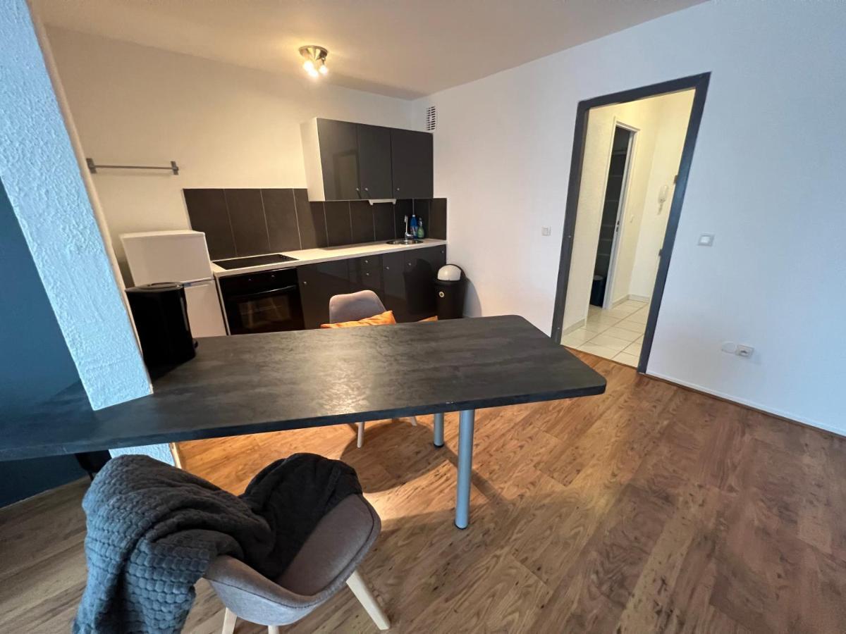 Mon Palmier Grand Appartement Parking Un-Sejour-A-Part Metz Ngoại thất bức ảnh