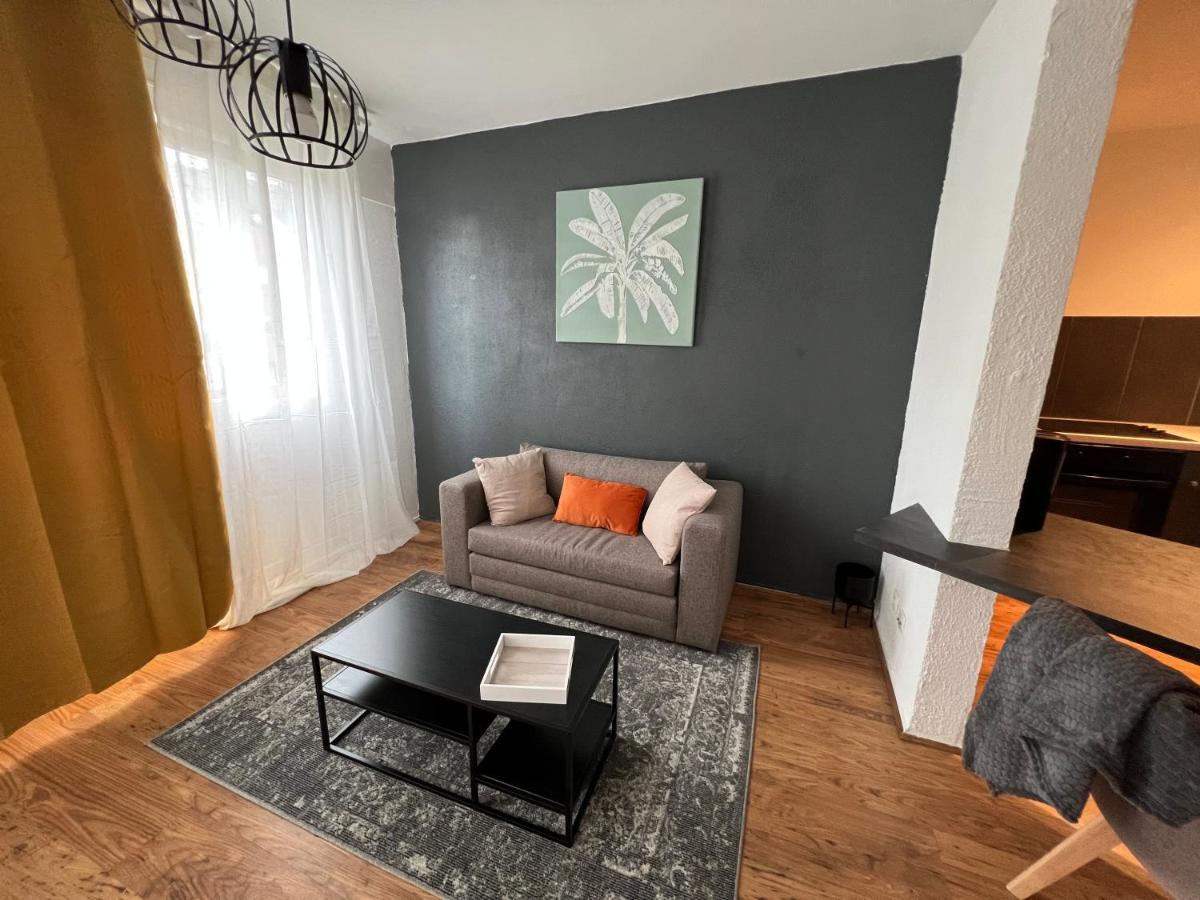 Mon Palmier Grand Appartement Parking Un-Sejour-A-Part Metz Ngoại thất bức ảnh