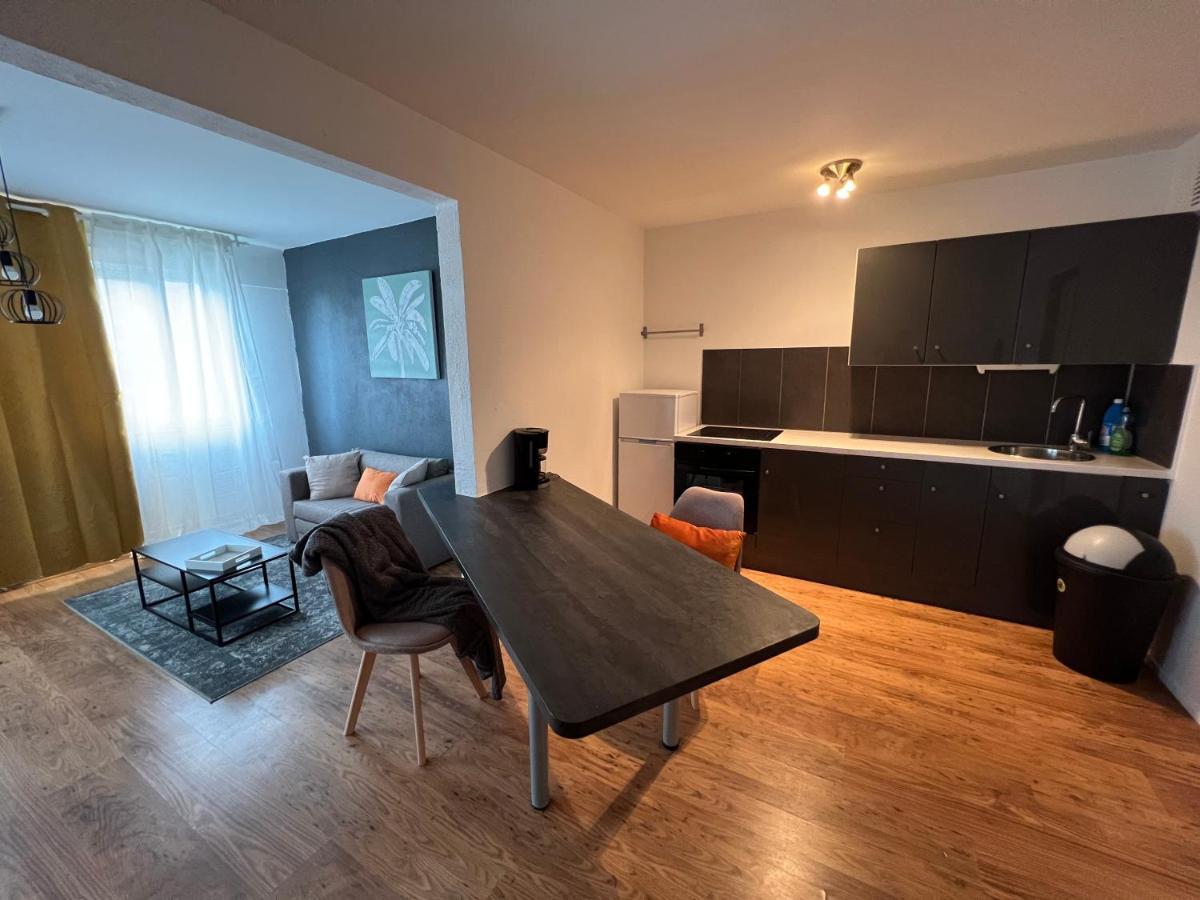 Mon Palmier Grand Appartement Parking Un-Sejour-A-Part Metz Ngoại thất bức ảnh