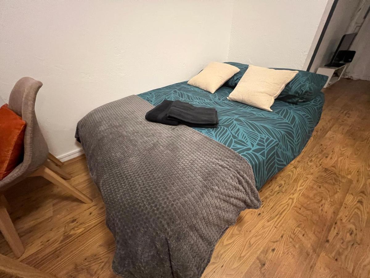 Mon Palmier Grand Appartement Parking Un-Sejour-A-Part Metz Ngoại thất bức ảnh